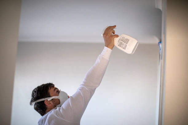 Best Residential Mold Removal  in Waterford, CA