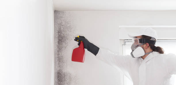 Best Crawl Space Mold Removal  in Waterford, CA