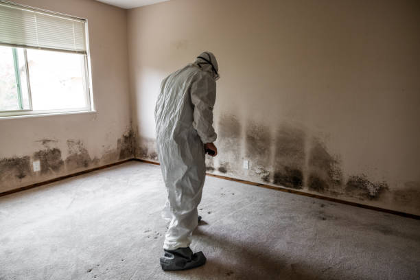 Best Commercial Mold Removal  in Waterford, CA