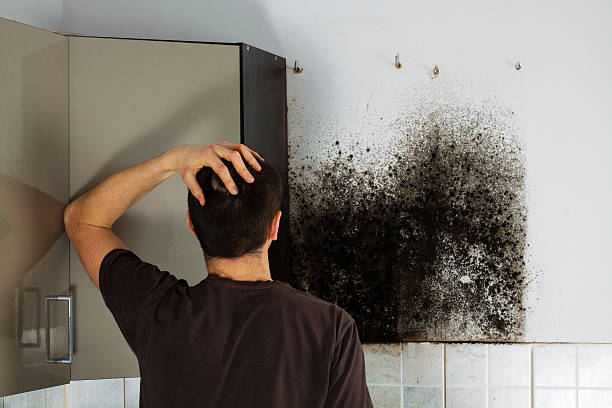 Best Professional Mold Removal  in Waterford, CA
